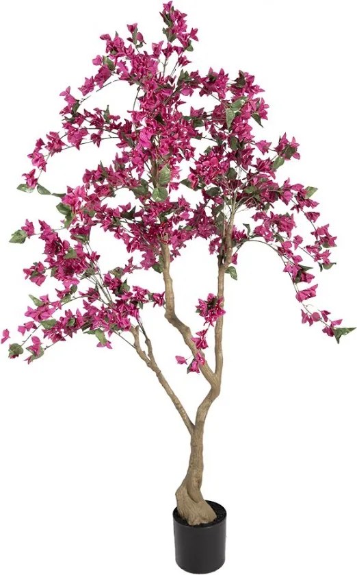 Stromček s ružovými kvetmi Bougainvillea Tree - 80*80*180 cm