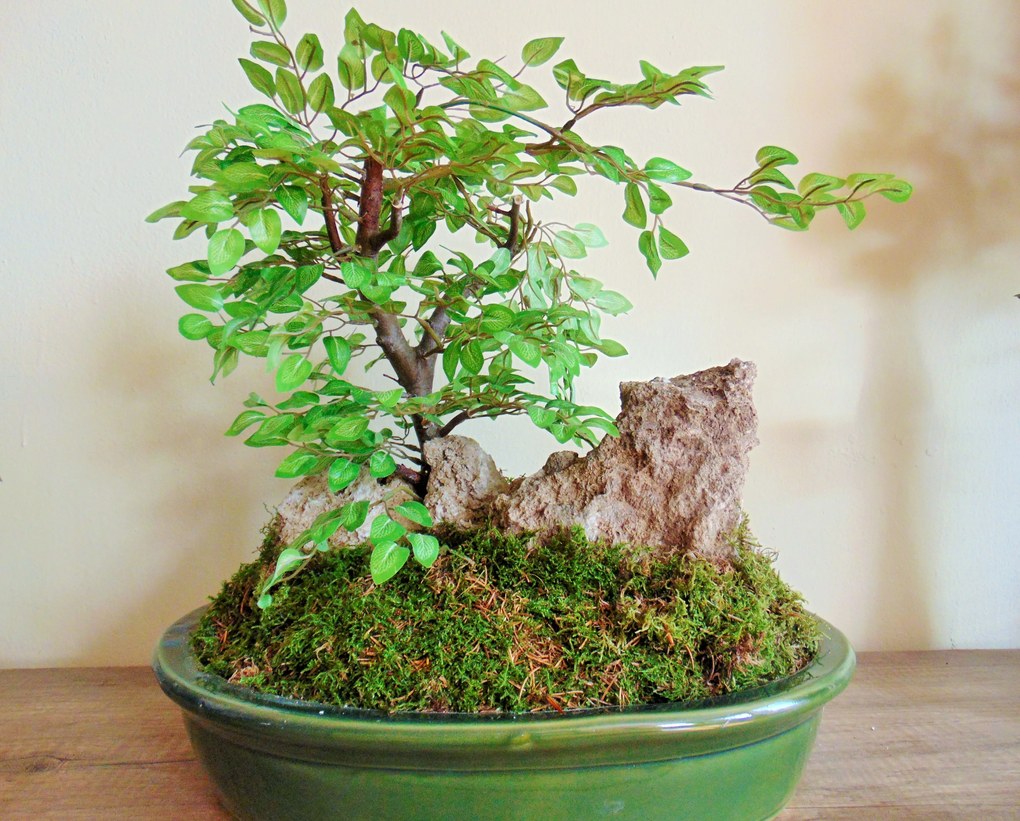 Umelý bonsaj