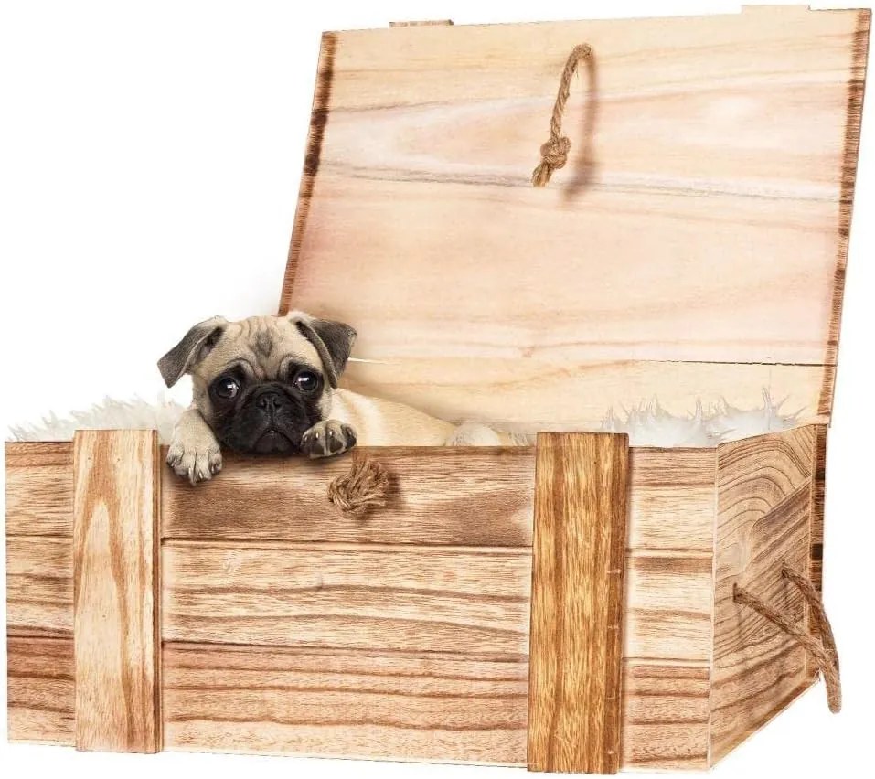 Orion Drevená debnička s rúčkami a vekom, TRUHLA NATURE 36 x 26 x 16 cm