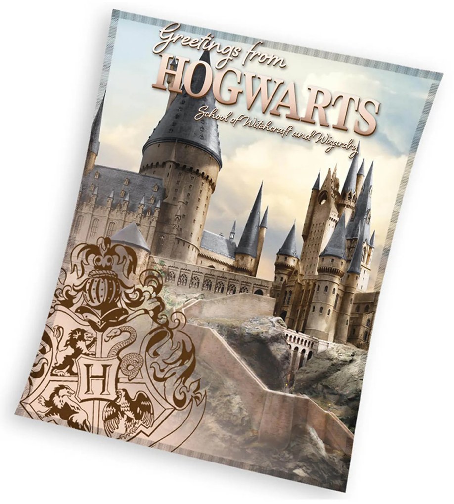 Detská mikroplyšová deka 130 x 160 cm - Harry Potter Rokfortské Tajomstvo