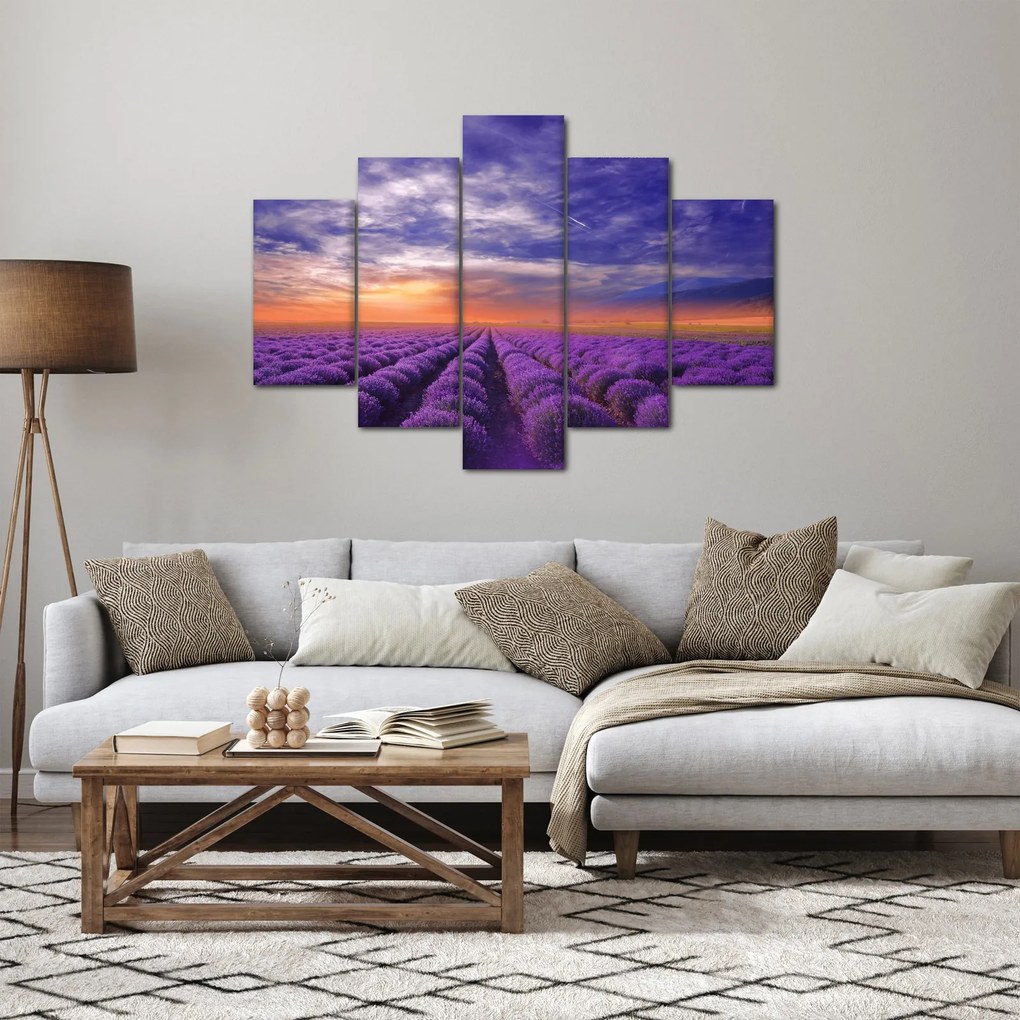 Obraz levanduľového pole (150x105 cm)