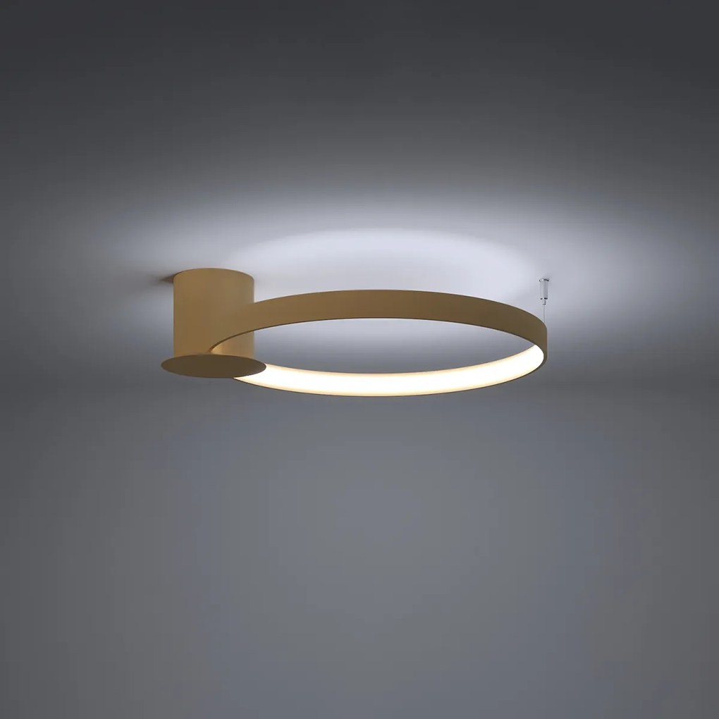 Stropné LED svietidlo Rio 55, 1x LED 30w, 3000k, g