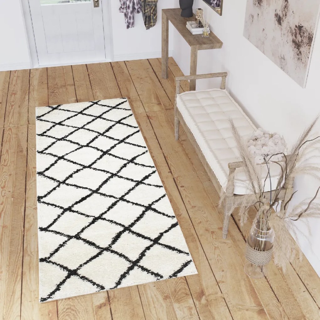 Dizajnový koberec REVA - SHAGGY ROZMERY: 300x400