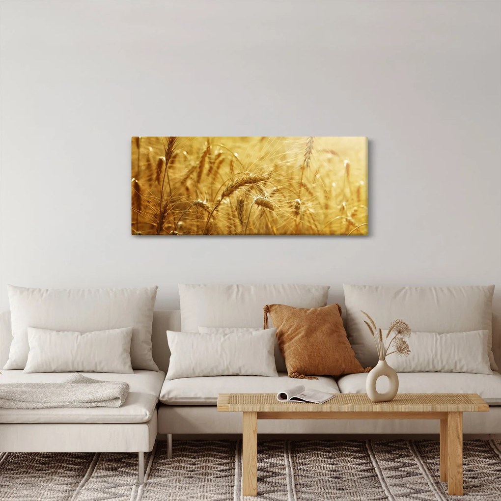 Obraz - Klasy obilia (120x50 cm)