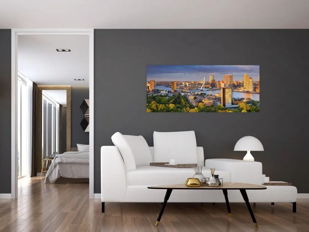 Obraz - Panorama Rotterdamu, Holandsko (120x50 cm)