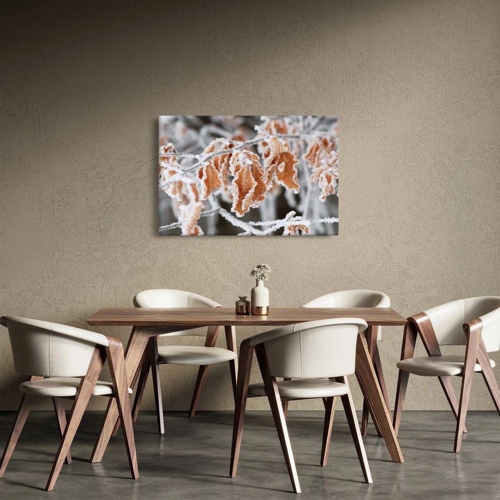 Obraz - Zamrznuté listy (90x60 cm)