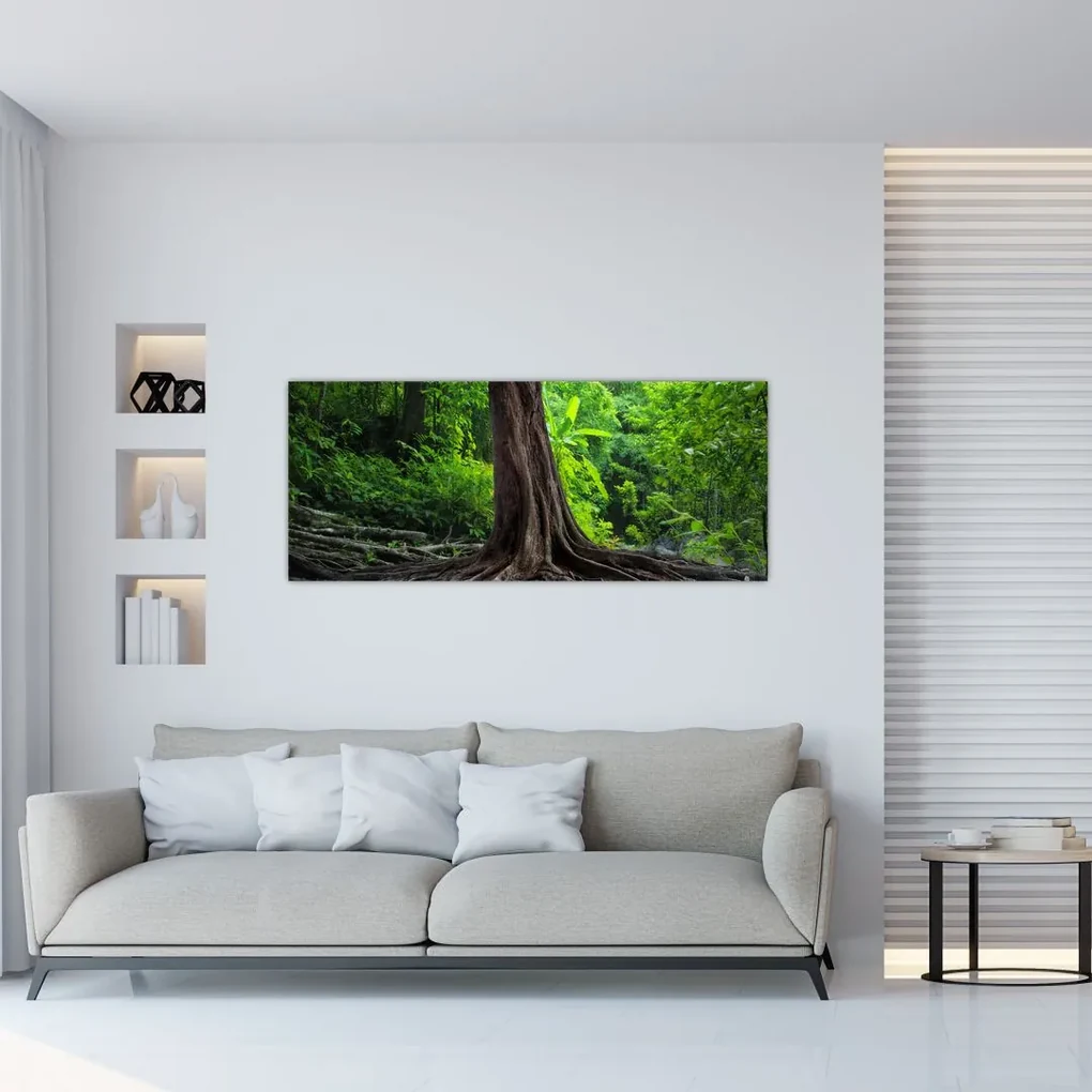 Obraz - Starý strom s koreňmi (120x50 cm)