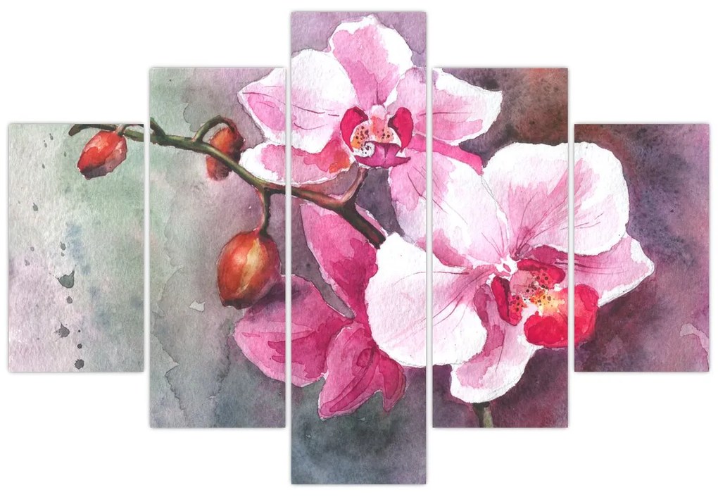 Obraz - Orchidey, aquarel (150x105 cm)