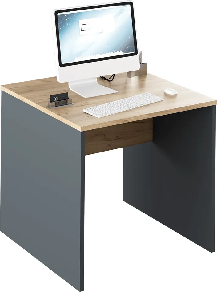 Písací stôl, grafit/dub artisan, RIOMA TYP 17