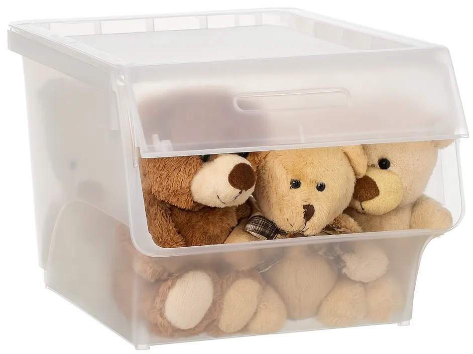 5Five® Úložný box ALL IN BOX s deleným vekom, 34l - 38 x 45,5 x 31 cm