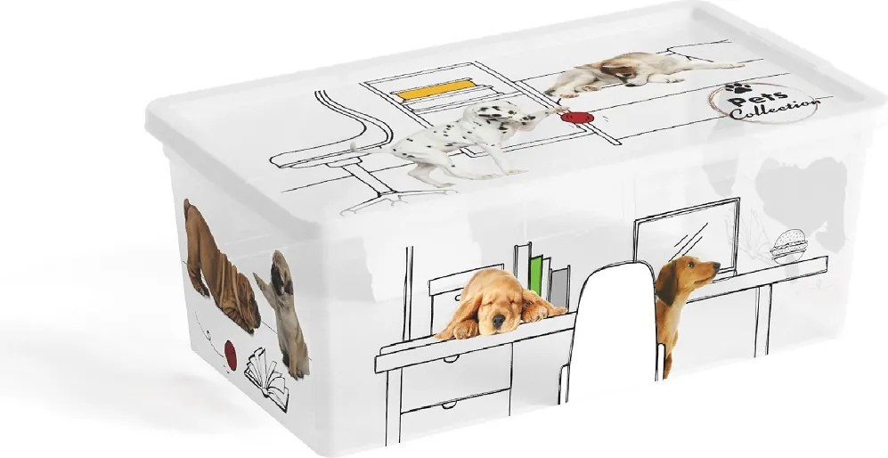 KIS Úložný box C-BOX XS 6l, domáce zvieratá