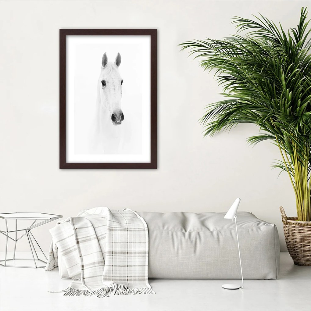 Gario Plagát Sivý kôň Farba rámu: Bez rámu, Rozmery: 70 x 100 cm