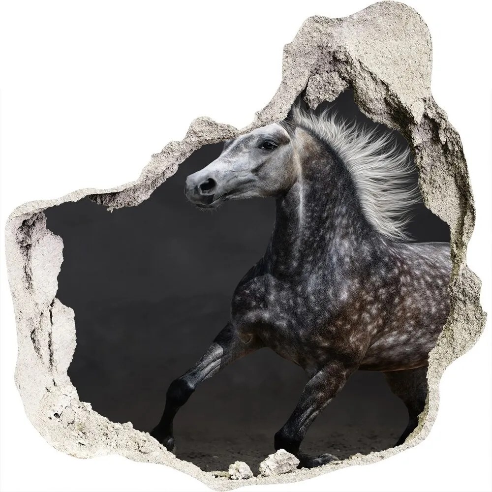 Fototapeta diera na stenu 3D Gray arabský kôň nd-p-49747605