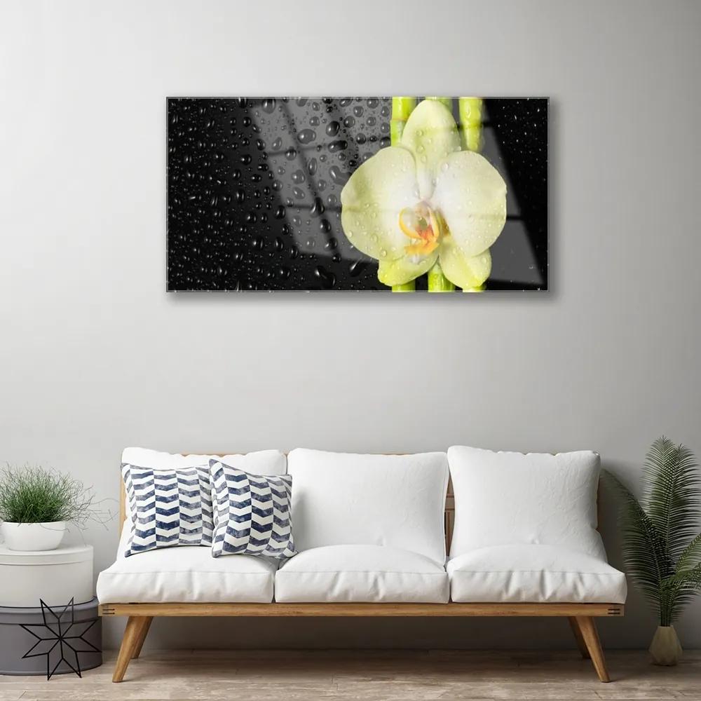 Obraz plexi Bambus kvet orchidea 100x50 cm