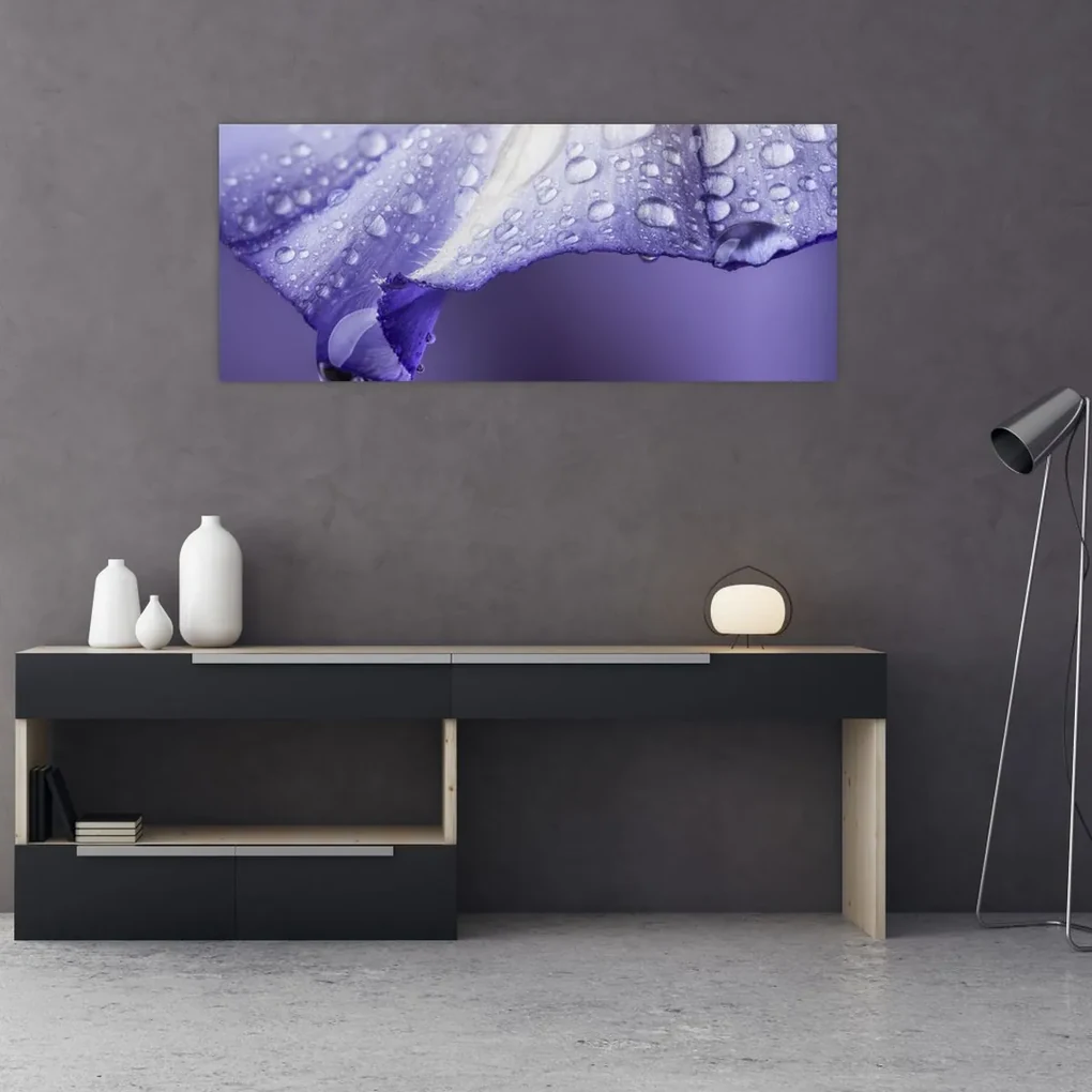 Obraz - Okvetný lístok s kvapkami (120x50 cm)