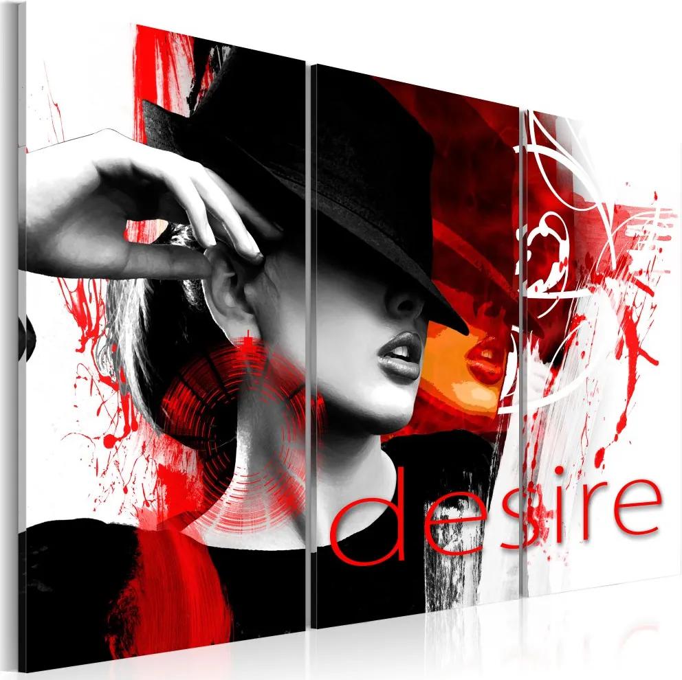 Obraz na plátne Bimago - Fire of desire 60x40 cm