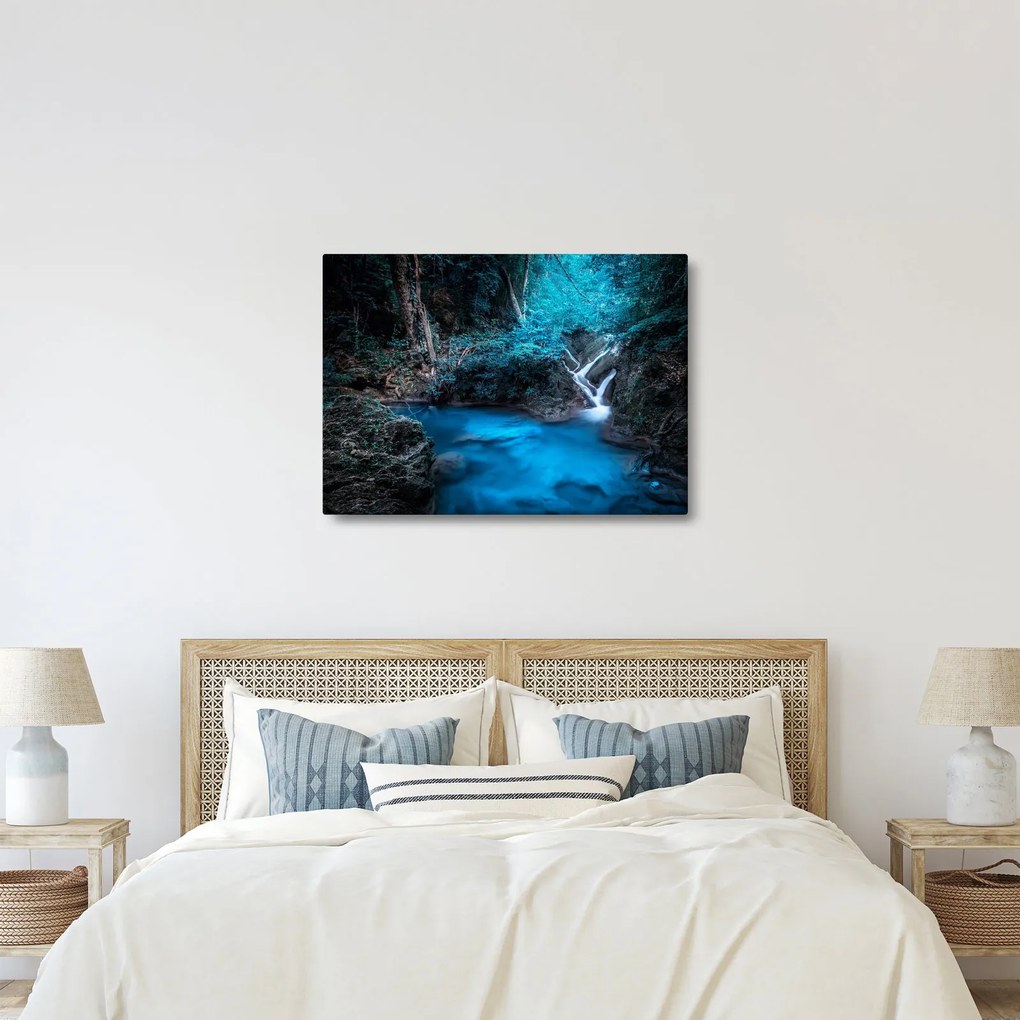 Obraz - Magická noc v tropickom lese (70x50 cm)
