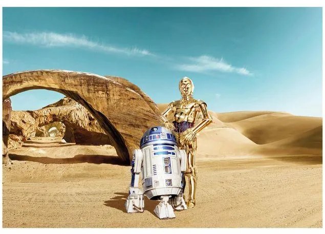 MANUFACTURER -  Fototapeta Star Wars - Lost Droids