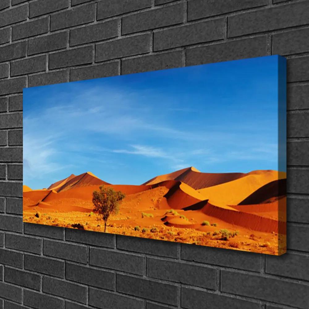 Obraz Canvas Púšť krajina 125x50 cm