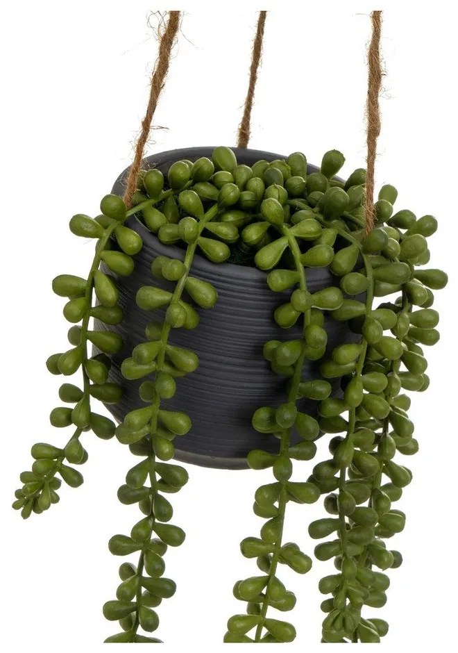 Umelá rastlina (výška 37 cm) Senecio – Casa Selección