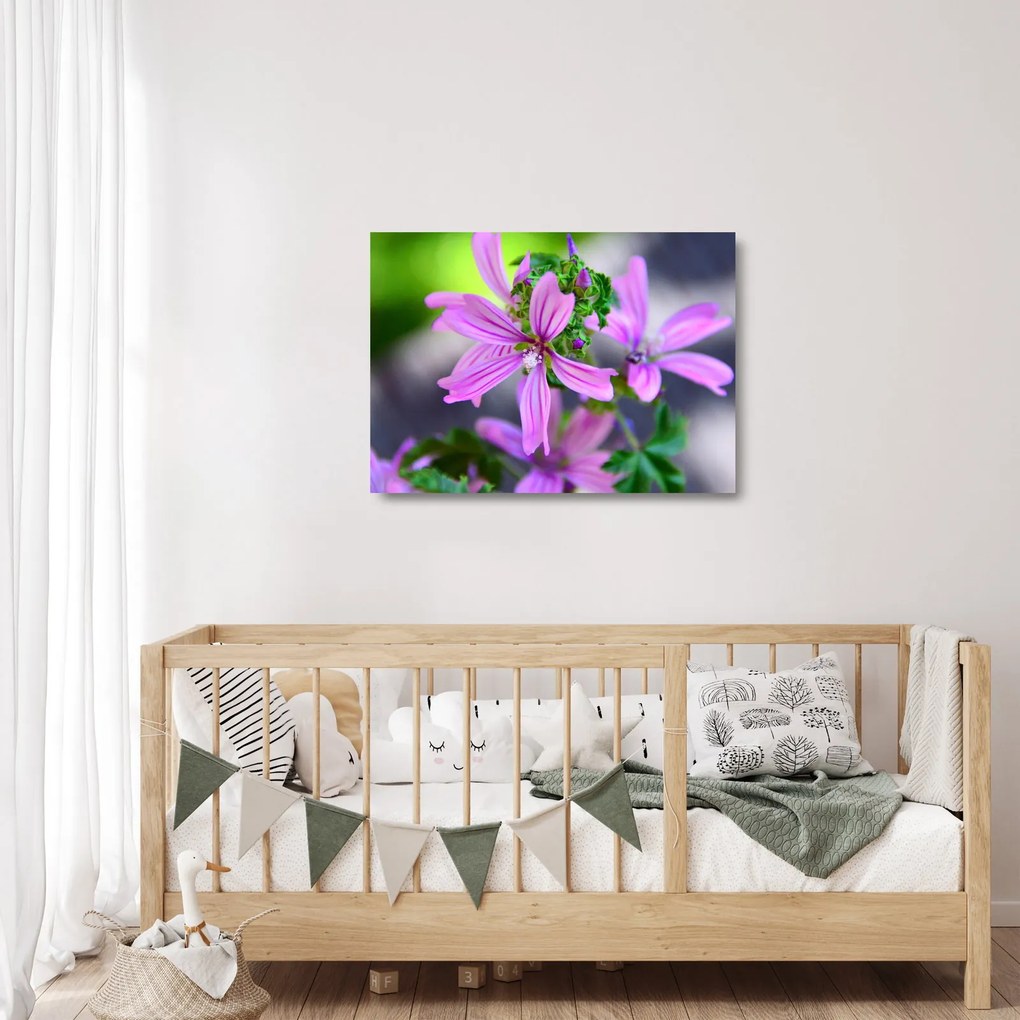 Detailný sklenený obraz kvetiny (70x50 cm)