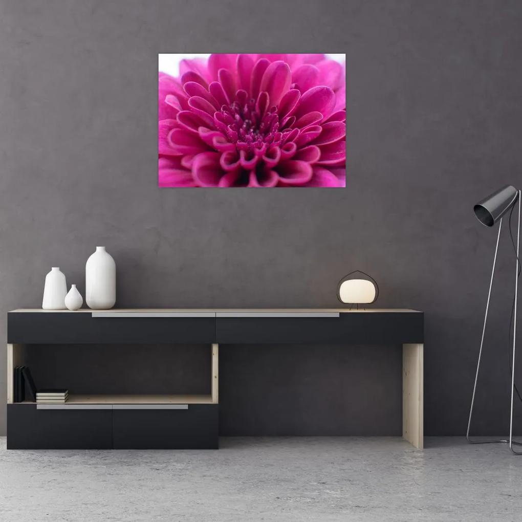 Obraz kvetu (70x50 cm)
