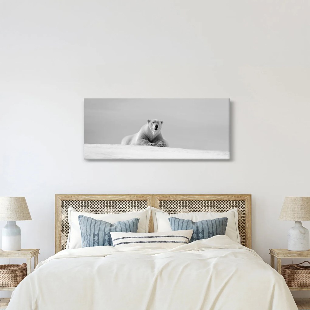 Obraz - Ľadový medveď (120x50 cm)