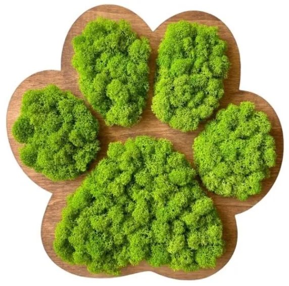 Machový obraz Labka 30 cm