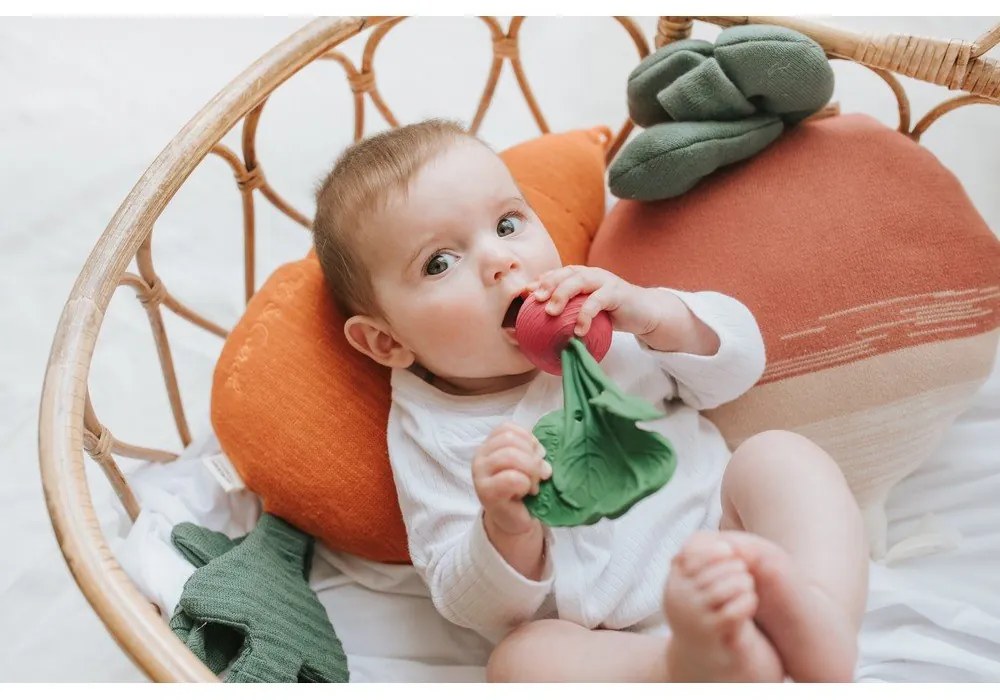 Detský vankúšik Ramona the Radish – Lorena Canals