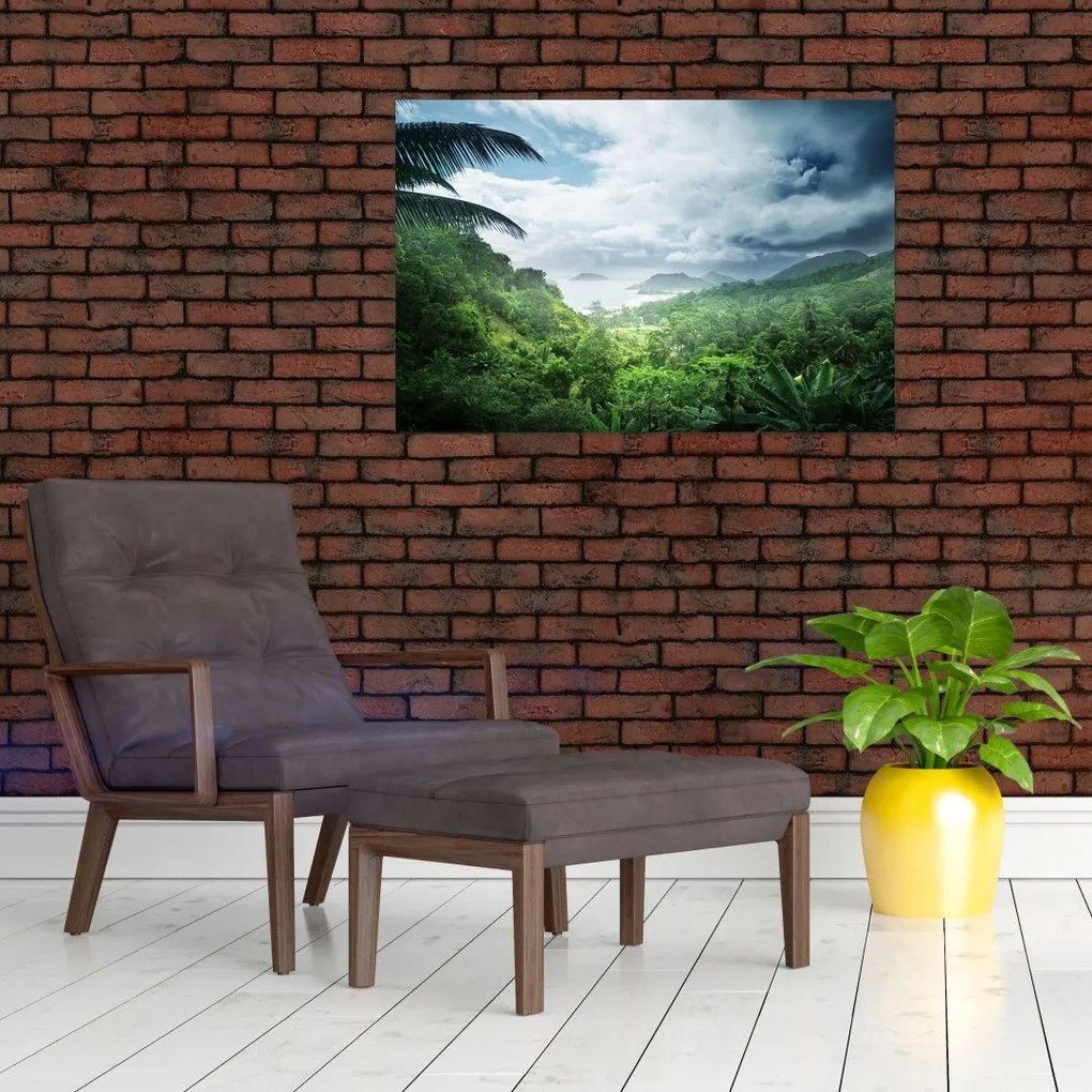 Obraz - Seychelská jungle (90x60 cm)