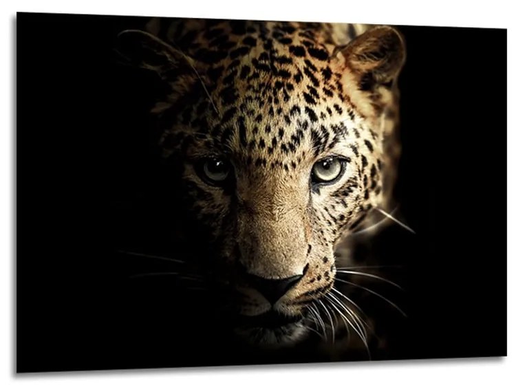 Sklenený obraz 100x70 cm Leopard - Styler