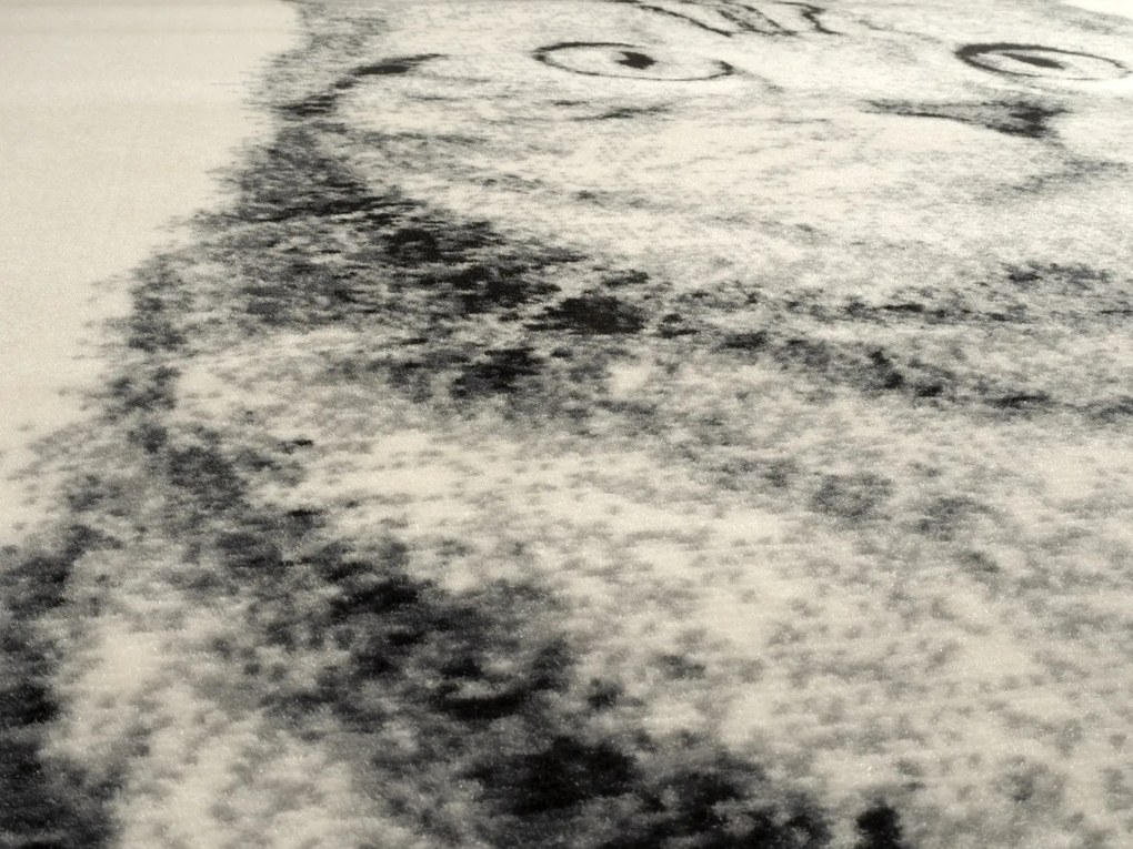 Alfa Carpets, Kusový koberec Cat grey, 160x230, šedá, detská izba