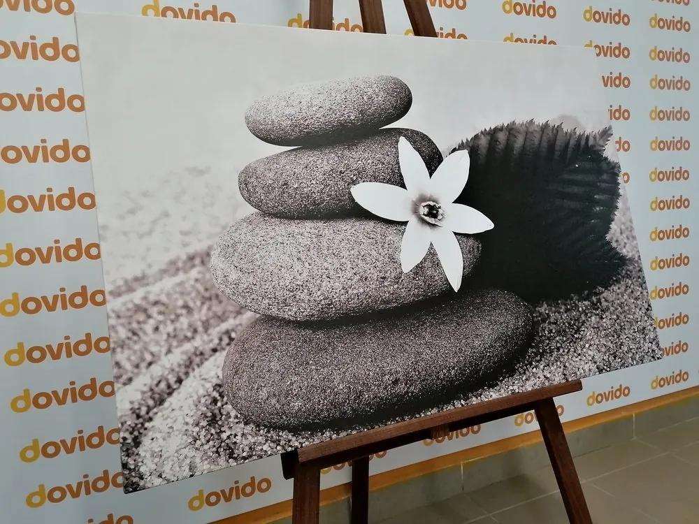 Obraz kvet a kamene v piesku v čiernobielom prevedení - 90x60