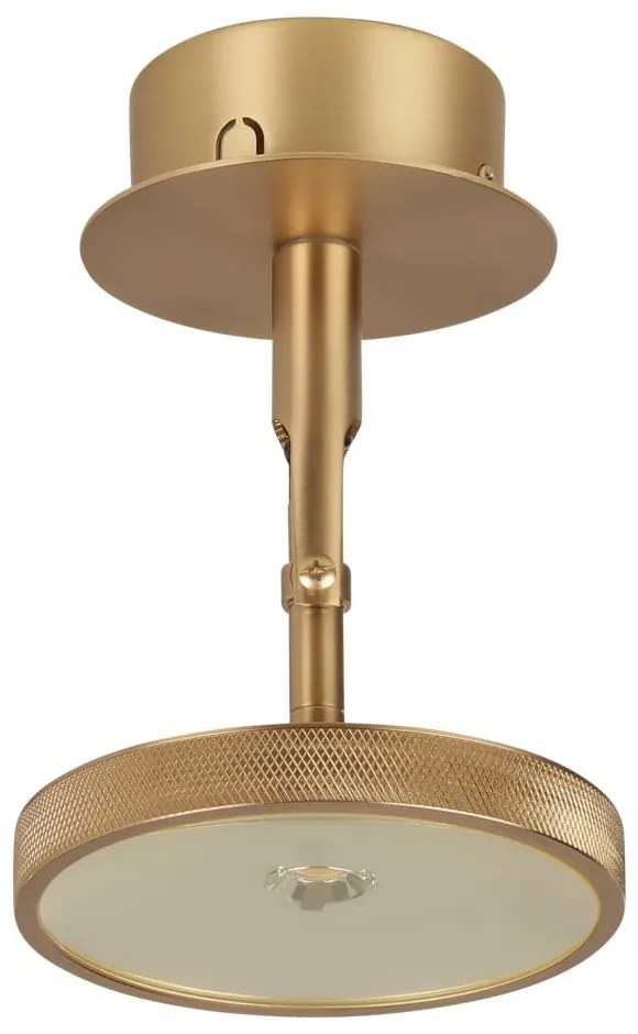 LED bodové svietidlo v zlatej farbe ø 12 cm Asteria Spot – UMAGE