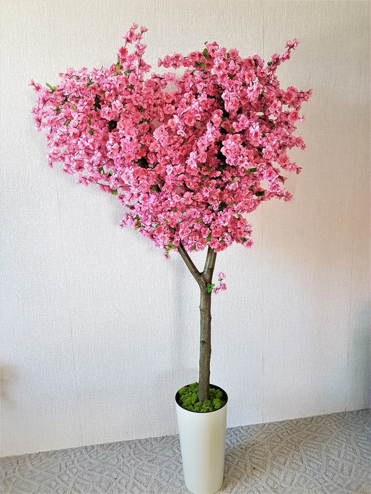 Kvitnúci strom- sakura 180cm