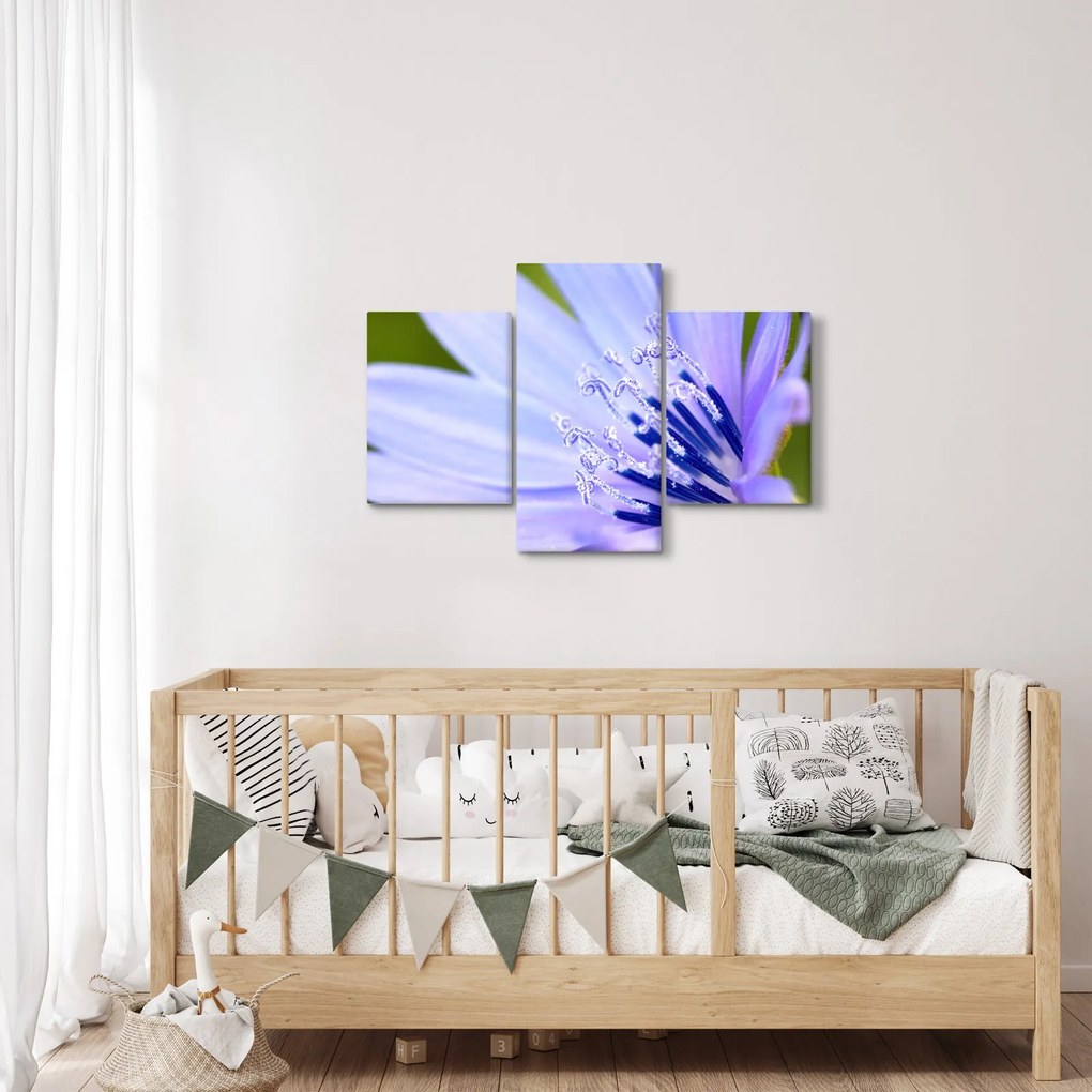 Obraz - kvet (90x60 cm)