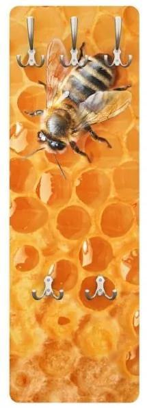 Vešiak na stenu Včela medonostná