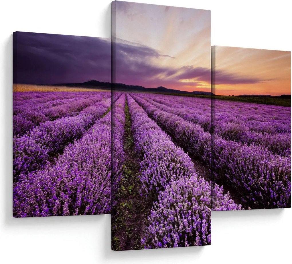 Obraz - Levanduľové pole pri západe slnka (90x60 cm)