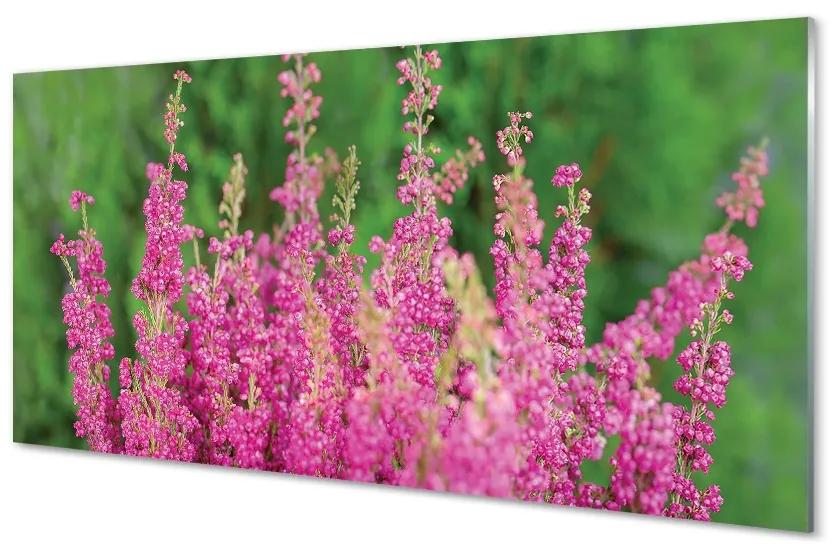 Sklenený obraz kvety vresy 125x50 cm