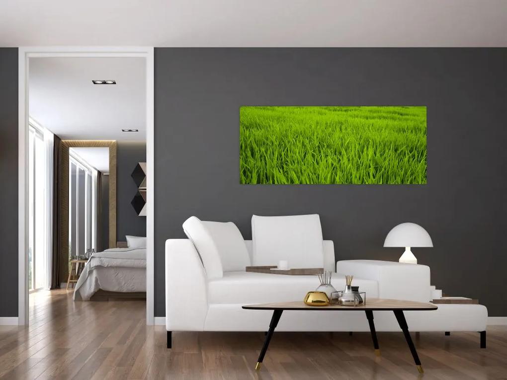 Obraz trávy (120x50 cm)