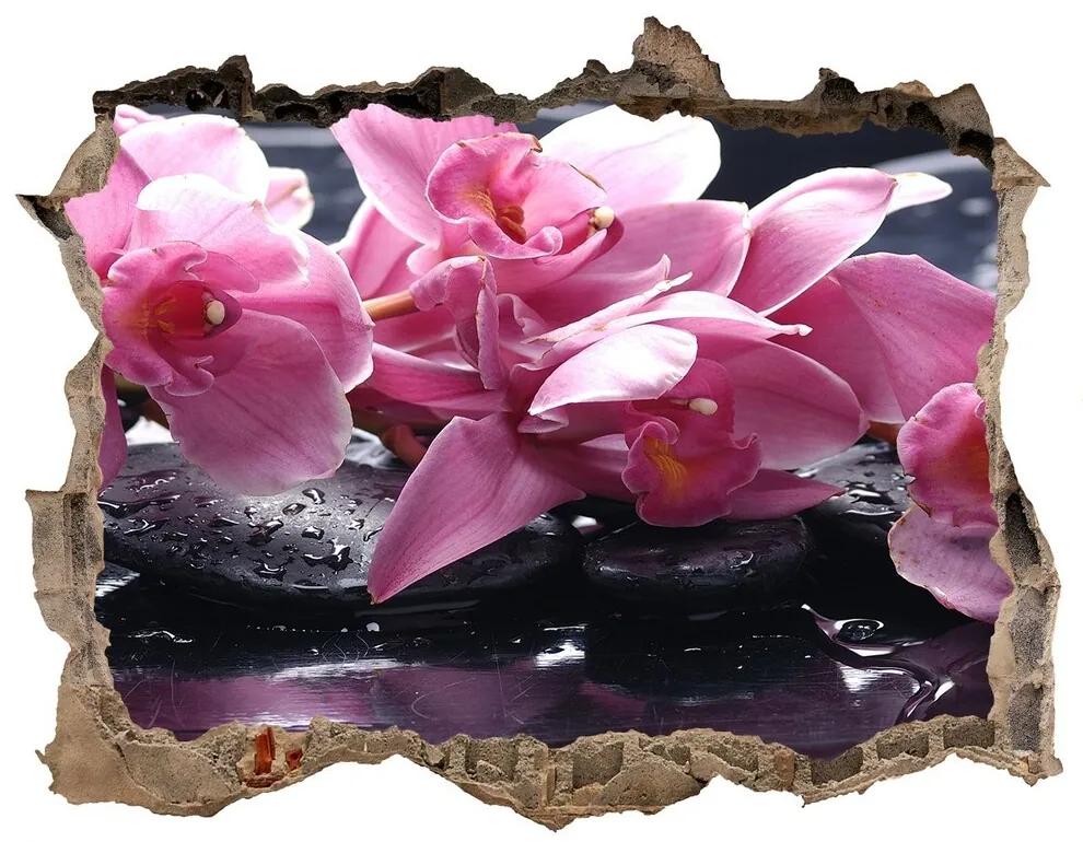 Samolepící nálepka na zeď Ružová orchidea nd-k-28903356