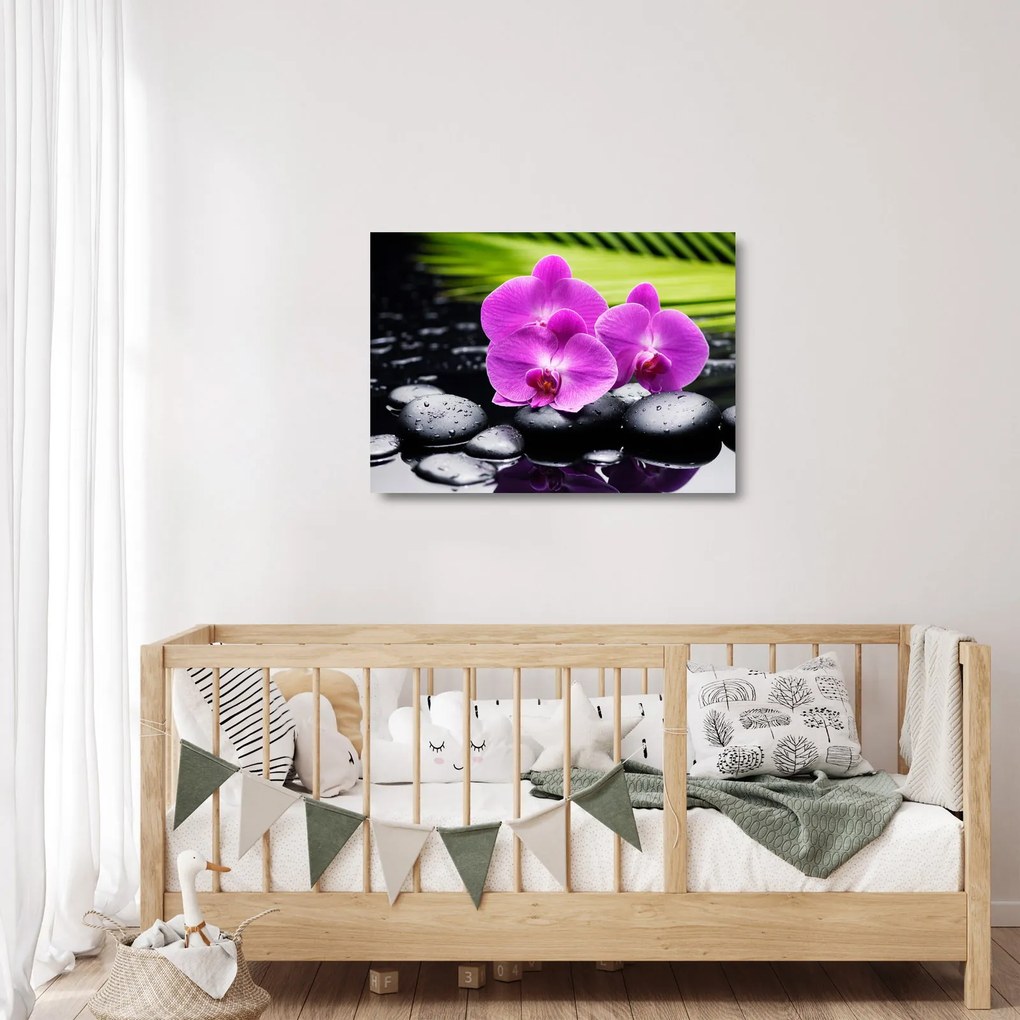 Sklenený obraz - Orchidey (70x50 cm)