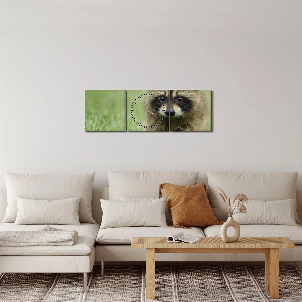 Obraz mývala (s hodinami) (90x30 cm)
