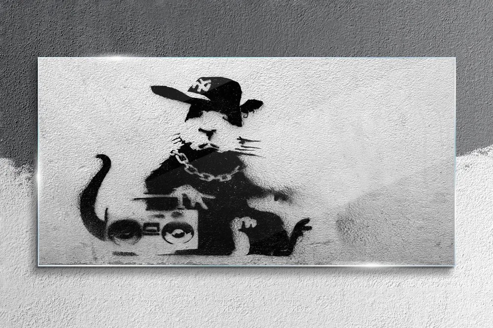 Skleneny obraz Kapucňa krysa banksy