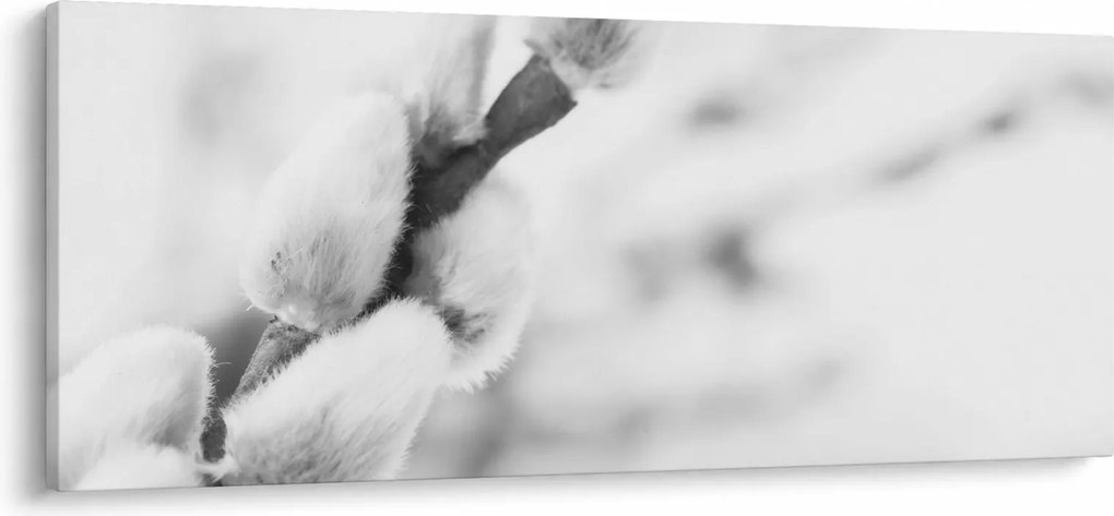 Obraz - Začiatok jari (120x50 cm)