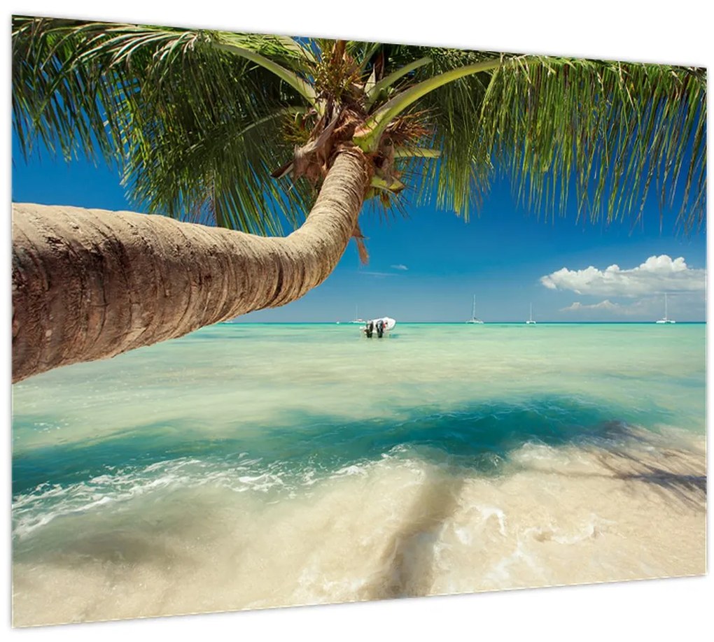 Sklenený obraz - Čisté more s palmou (70x50 cm)