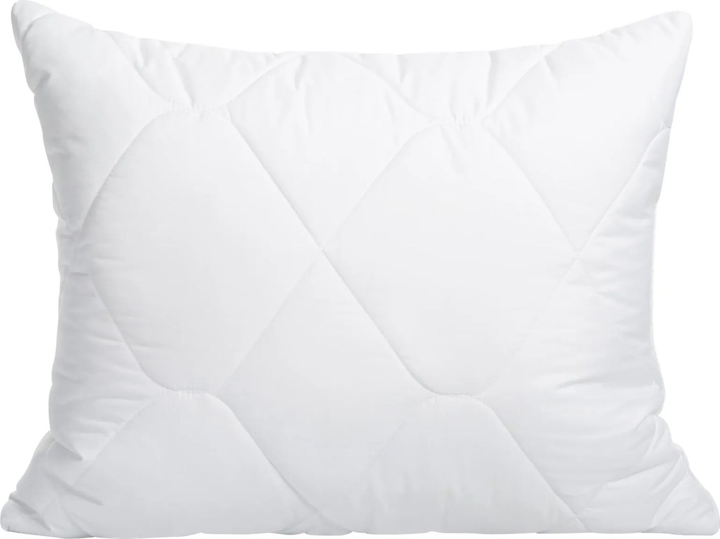 VANKÚŠ SILVER 50X60 CM BIELA