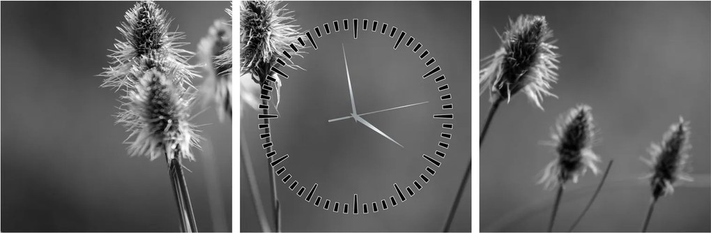 Obraz - Béžová soft grass N⁰2 (s hodinami) (90x30 cm)