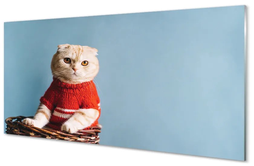 Sklenený obraz sediaci mačka 125x50 cm
