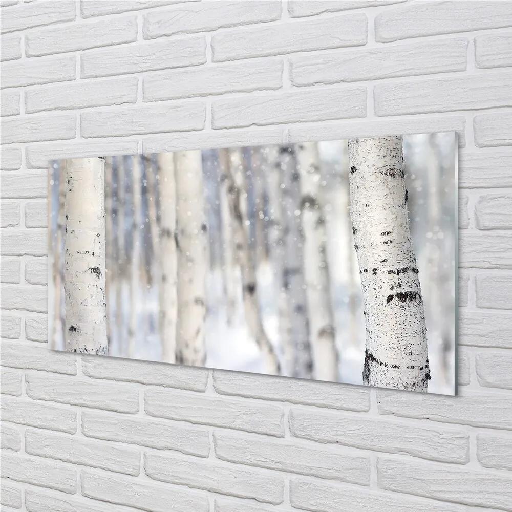 Sklenený obraz Stromy v zime sneh 120x60 cm